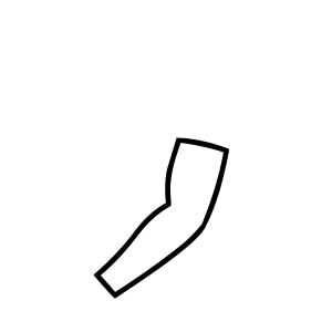 Arm Protectors